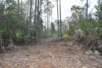 Off Sun Garden Rd, Palatka, FL 32177 - Photo 17