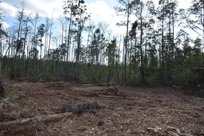 Off Sun Garden Rd, Palatka, FL 32177 - Photo 3