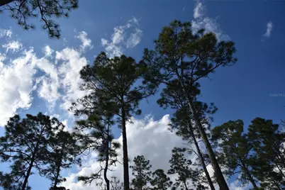 Off Sun Garden Rd, Palatka, FL 32177 - Photo 21