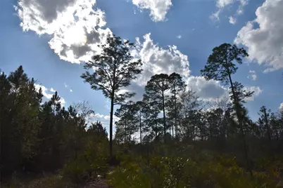Off Sun Garden Rd, Palatka, FL 32177 - Photo 23