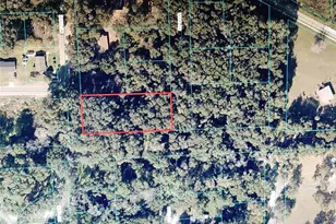 0 NW 19th Ave, Ocala, FL 34475 - Photo 1