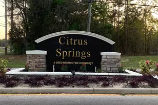 10060 N Carver Dr, Citrus Springs, FL 34434 - Photo 9