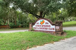 10060 N Carver Dr, Citrus Springs, FL 34434 - Photo 13