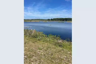 10955 SE Timucuan Road, Summerfield, FL 34491 - Photo 3