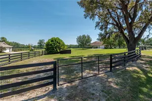 5363 NW 153rd Ct, Morriston, FL 32668 - Photo 87
