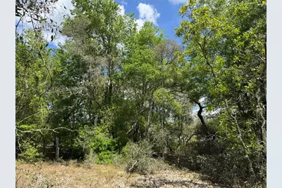 Tbd SW Big Bear Ridge, Dunnellon, FL 34431 - Photo 1