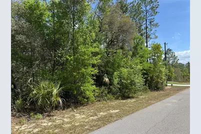 Tbd SW Big Bear Ridge, Dunnellon, FL 34431 - Photo 3
