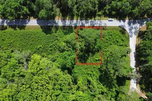 0 Locust Run Dr, Ocala, FL 34472 - Photo 1