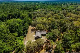 13455 NE 228 Ln Rd, Fort Mc Coy, FL 32134 - Photo 1