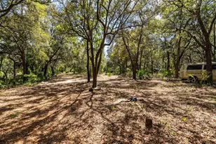 13455 NE 228 Ln Rd, Fort Mc Coy, FL 32134 - Photo 39