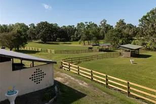 16700/16702 NW Hwy 225, Reddick, FL 32686 - Photo 23