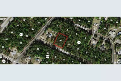 3711 W Norwick Place, Citrus Springs, FL 34433 - Photo 1