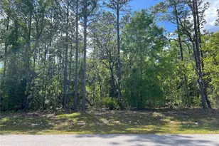 SW 89 Circle, Ocala, FL 34473 - Photo 1