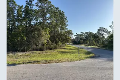 0 SW 49th Lane, Ocala, FL 34473 - Photo 3