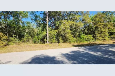 Tbd SW Viburnum Road, Dunnellon, FL 34431 - Photo 3