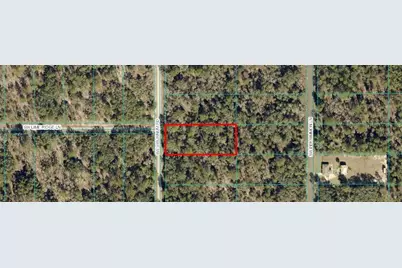 Tbd SW Viburnum Road, Dunnellon, FL 34431 - Photo 5