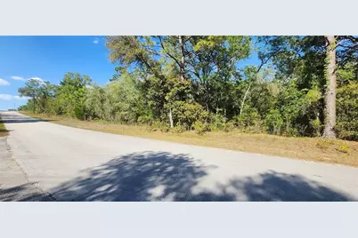 Tbd SW Viburnum Road, Dunnellon, FL 34431 - Photo 1