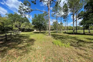 1550 SE 111 Ct, Morriston, FL 32668 - Photo 45