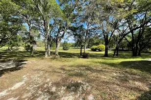 1550 SE 111 Ct, Morriston, FL 32668 - Photo 43