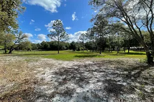 1550 SE 111 Ct, Morriston, FL 32668 - Photo 43