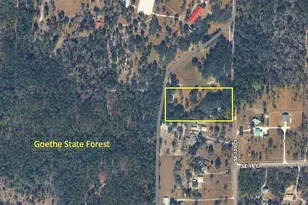 1550 SE 111 Ct, Morriston, FL 32668 - Photo 63