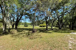 1550 SE 111 Ct, Morriston, FL 32668 - Photo 47