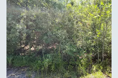 0000 NE 66th Avenue, Citra, FL 32113 - Photo 3