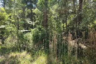 0000 NE 66th Ave, Citra, FL 32113 - Photo 1