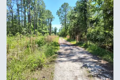 0000 NE 66th Avenue, Citra, FL 32113 - Photo 5