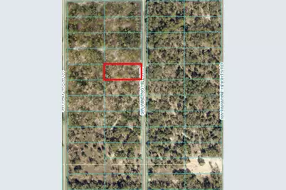 Tbd SW Windmill Road, Dunnellon, FL 34431 - Photo 1
