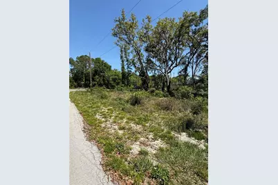 Tbd Locust Drive Trail, Ocala, FL 34472 - Photo 7