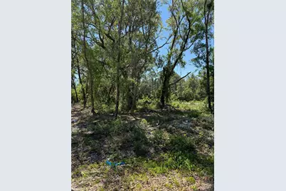 Tbd Locust Drive Trail, Ocala, FL 34472 - Photo 15