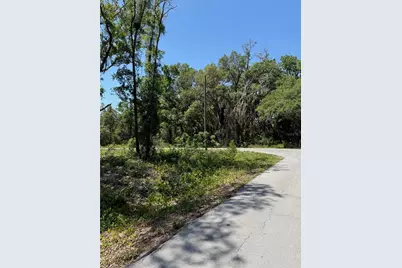 Tbd Locust Drive Trail, Ocala, FL 34472 - Photo 13