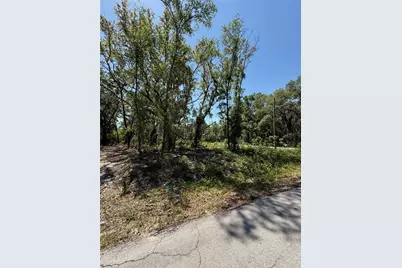 Tbd Locust Drive Trail, Ocala, FL 34472 - Photo 11