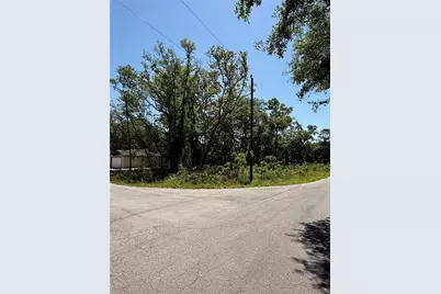 Tbd Locust Drive Trail, Ocala, FL 34472 - Photo 9