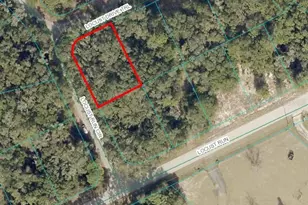 Tbd Locust Dr Trail, Ocala, FL 34472 - Photo 1