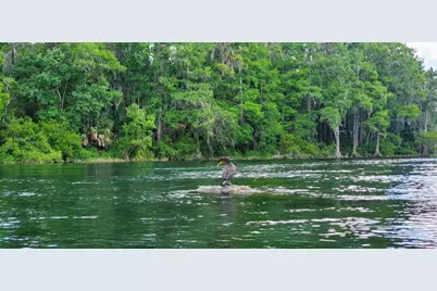 2778 W Cypress Drive, Dunnellon, FL 34433 - Photo 47