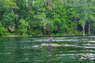 2778 W Cypress Dr, Dunnellon, FL 34433 - Photo 47