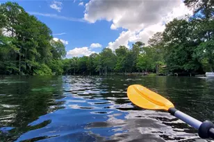 2778 W Cypress Dr, Dunnellon, FL 34433 - Photo 45