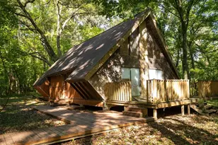 11420 NW 110th Ave, Reddick, FL 32686 - Photo 9