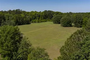 11420 NW 110th Ave, Reddick, FL 32686 - Photo 5