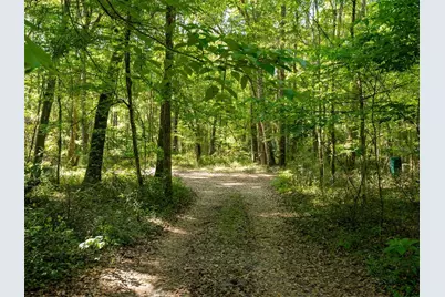 11420 NW 110th Avenue, Reddick, FL 32686 - Photo 7