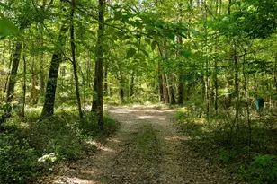 11420 NW 110th Ave, Reddick, FL 32686 - Photo 7