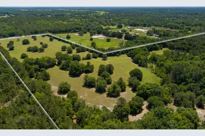 11420 NW 110th Avenue, Reddick, FL 32686 - Photo 21