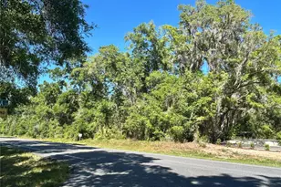 9319 S Florida Ave, Floral City, FL 34436 - Photo 1