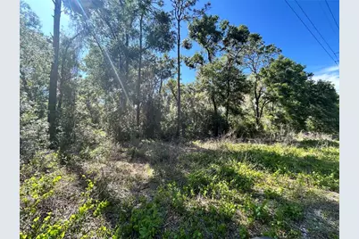 9319 S Florida Avenue, Floral City, FL 34436 - Photo 3