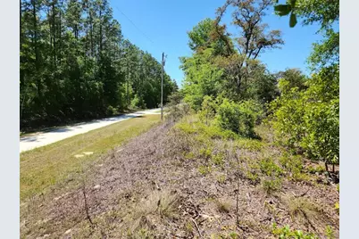 Lot 5 SW 64th Lane, Ocala, FL 34481 - Photo 11