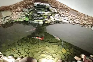 16299 SW 14th Avenue Rd, Ocala, FL 34473 - Photo 13