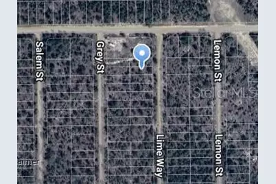 Lime Way, Interlachen, FL 32148 - Photo 9