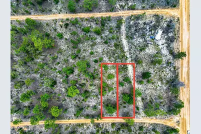 Lime Way, Interlachen, FL 32148 - Photo 1